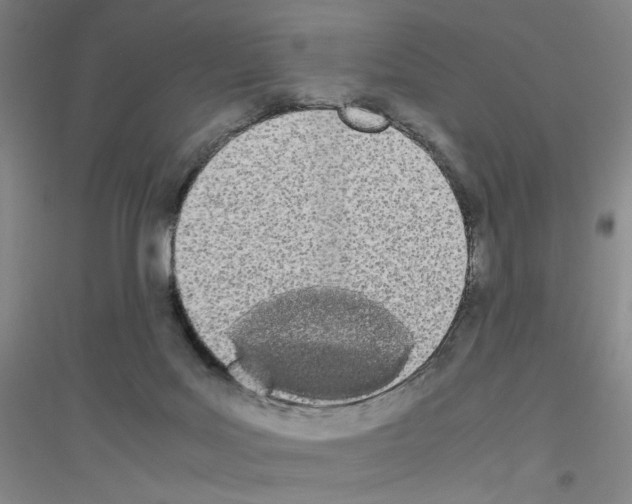X0000116840027201001291714