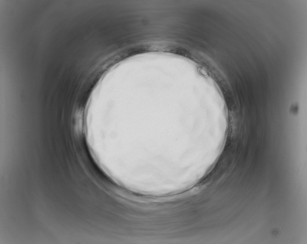 X0000116840028201001291714