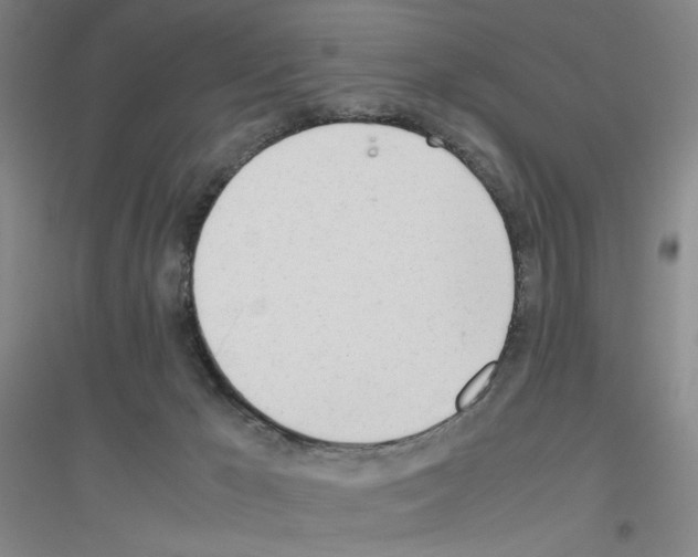X0000116840029201001291714