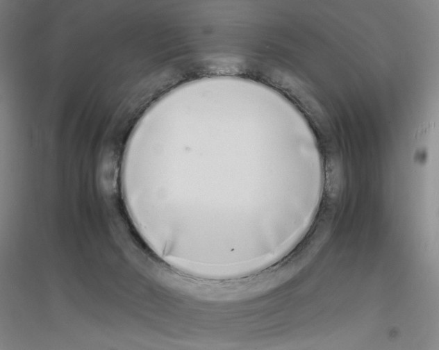 X0000116840030201001291714
