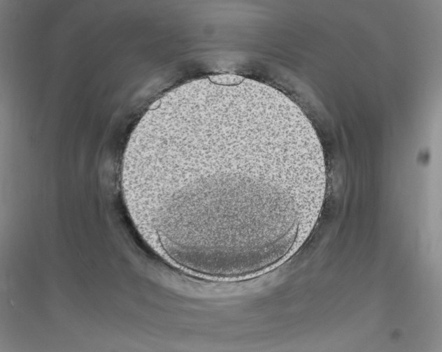 X0000116840031201001291714