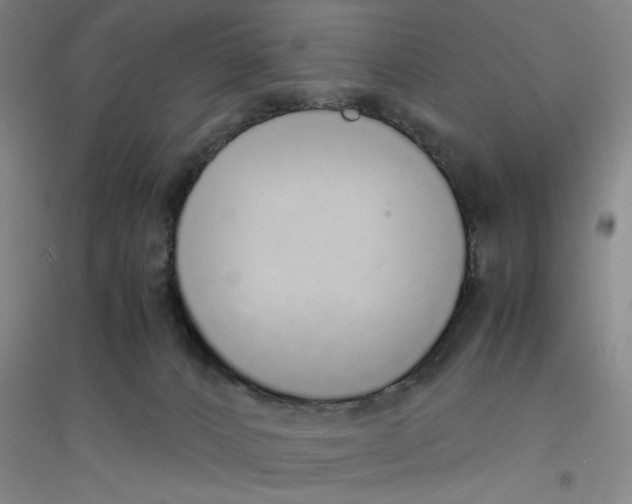 X0000116840032201001291714