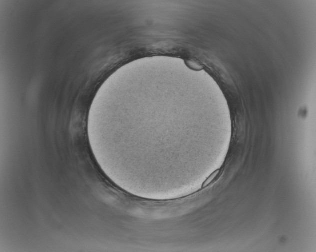 X0000116840033201001291714
