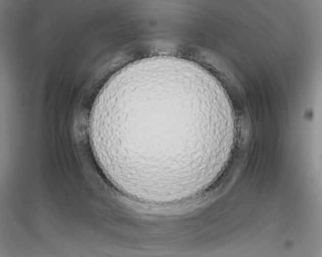 X0000116840034201001291714