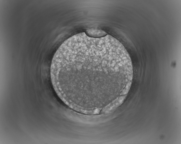 X0000116840035201001291714