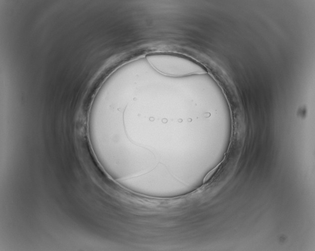 X0000116840036201001291714