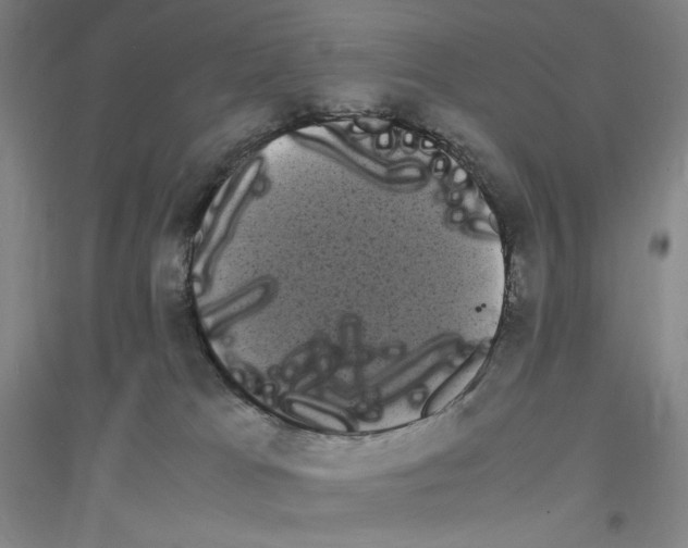 X0000116840037201001291714