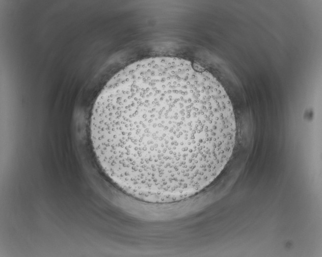 X0000116840038201001291714
