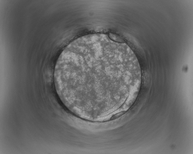 X0000116840039201001291714