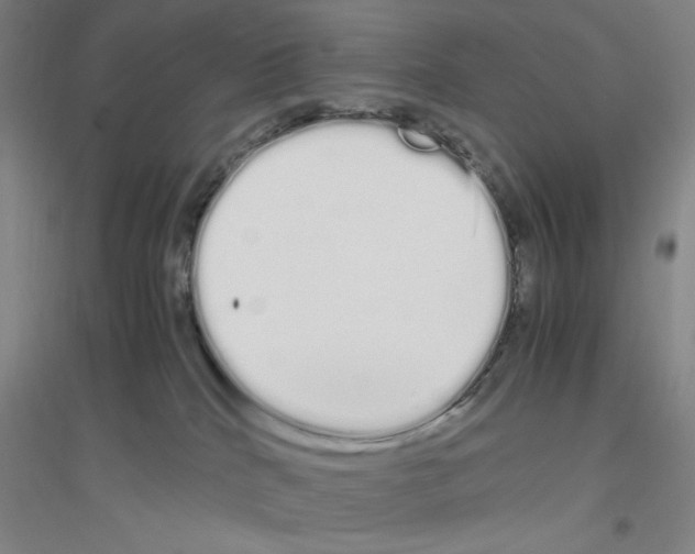 X0000116840040201001291714