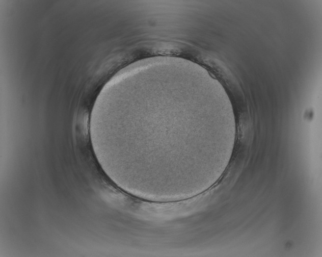 X0000116840041201001291714