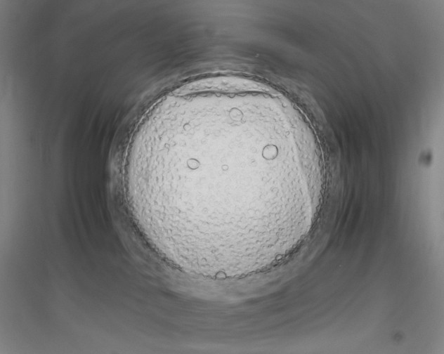 X0000116840042201001291714