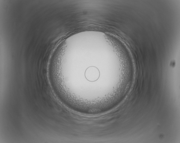 X0000116840043201001291714