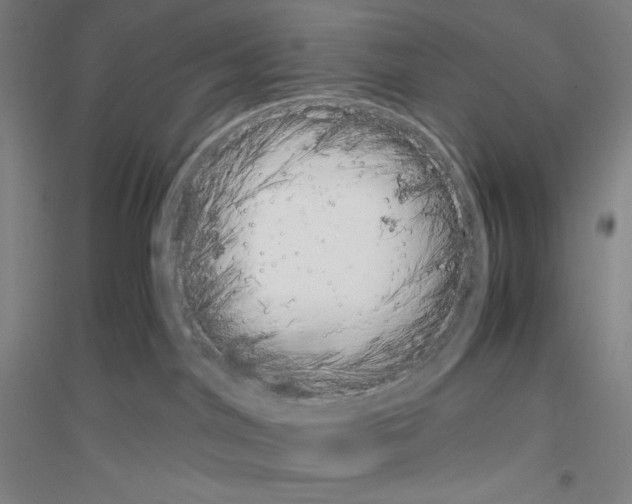 X0000116840044201001291714