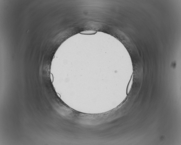 X0000116840045201001291713