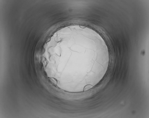 X0000116840046201001291713