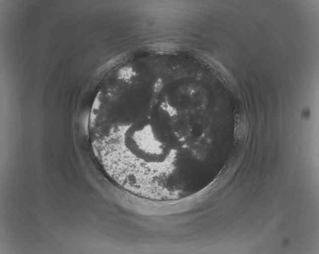 X0000116840047201001291713