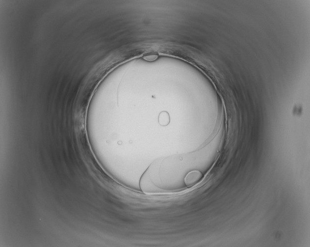X0000116840048201001291713