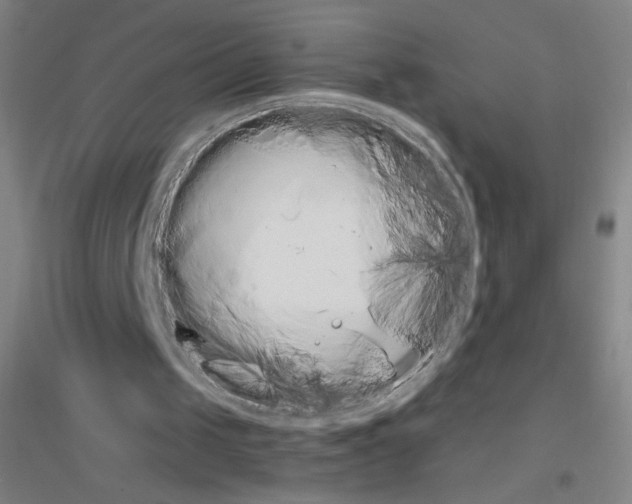 X0000116840049201001291713
