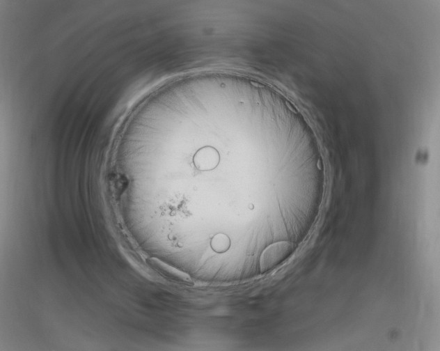 X0000116840050201001291713
