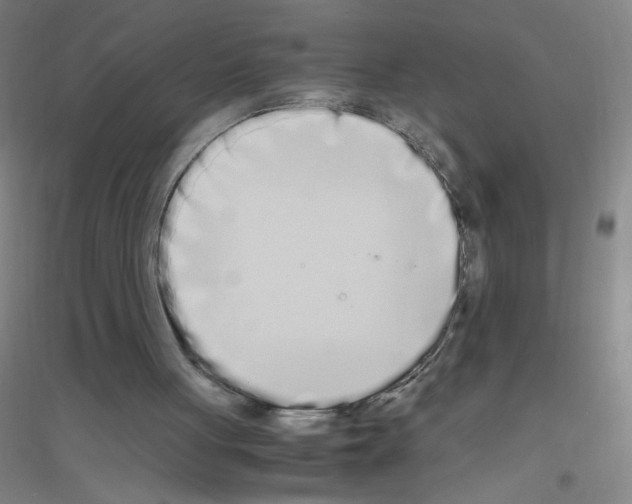 X0000116840051201001291713
