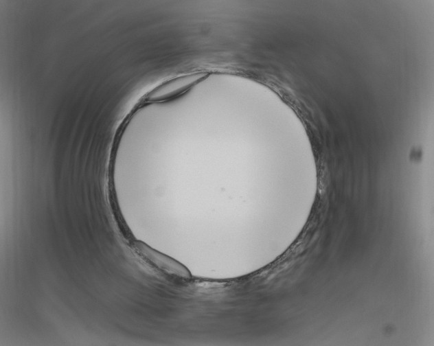 X0000116840052201001291713
