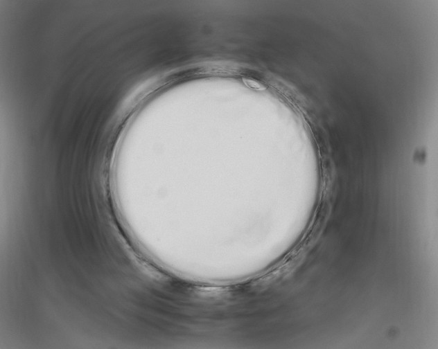 X0000116840053201001291713
