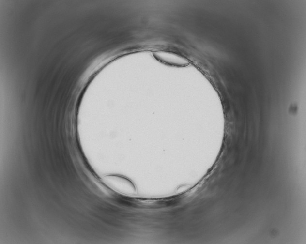 X0000116840054201001291713