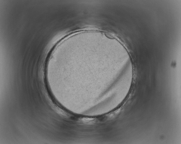 X0000116840055201001291713