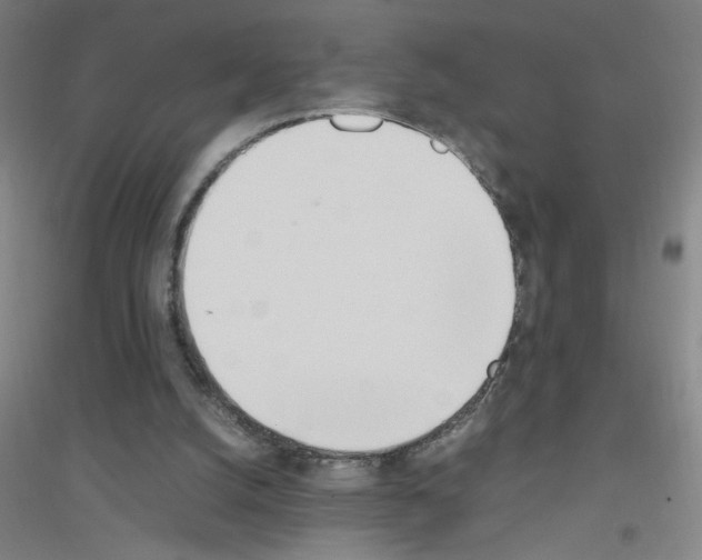 X0000116840056201001291713