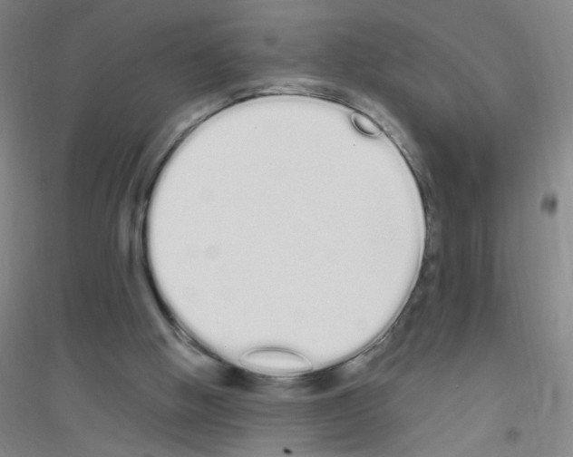 X0000116840058201001291713