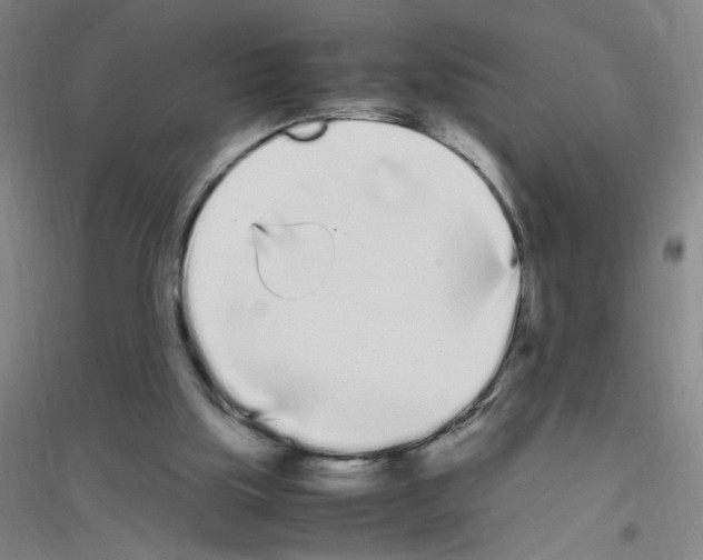 X0000116840059201001291713