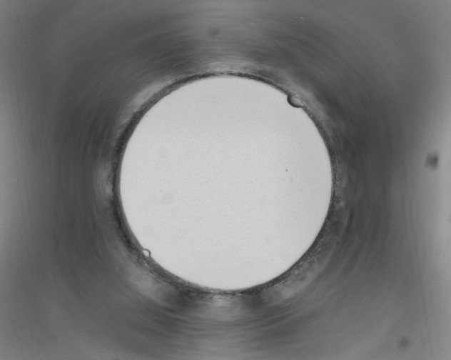 X0000116840060201001291713