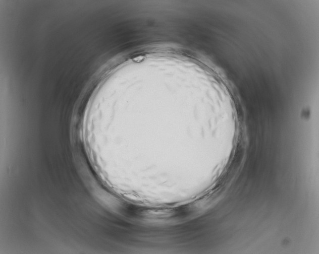X0000116840061201001291713