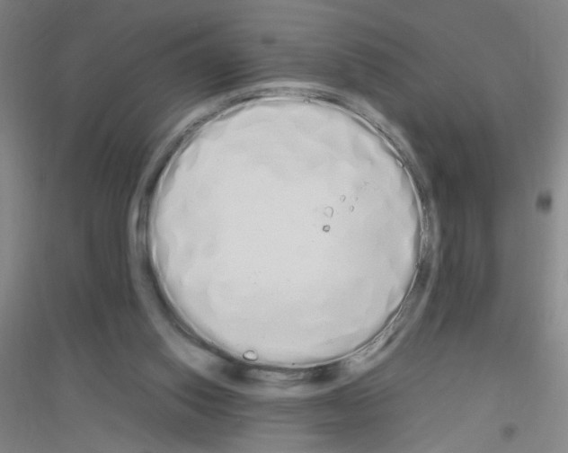 X0000116840062201001291713