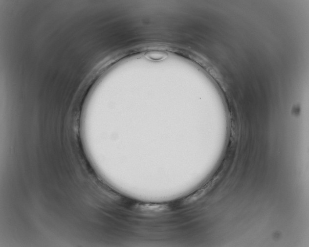 X0000116840063201001291713