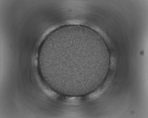 X0000116840064201001291713