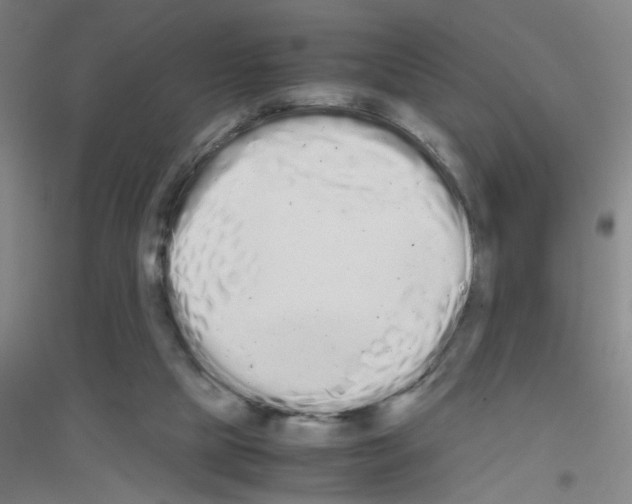 X0000116840065201001291713