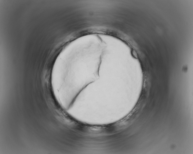 X0000116840066201001291713