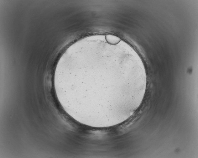 X0000116840067201001291713