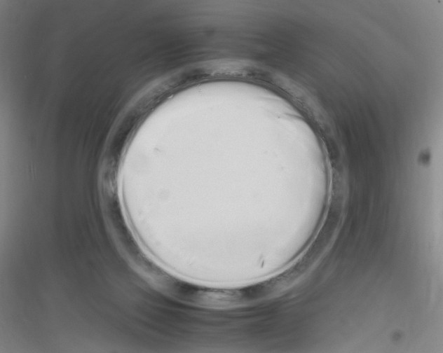X0000116840069201001291713
