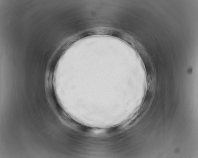 X0000116840070201001291713