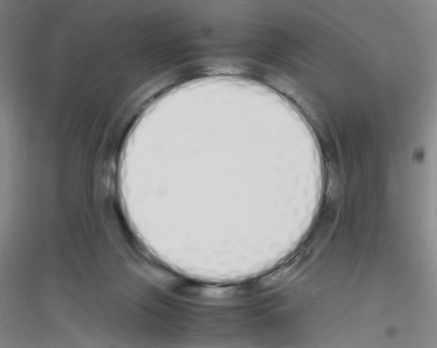 X0000116840071201001291713