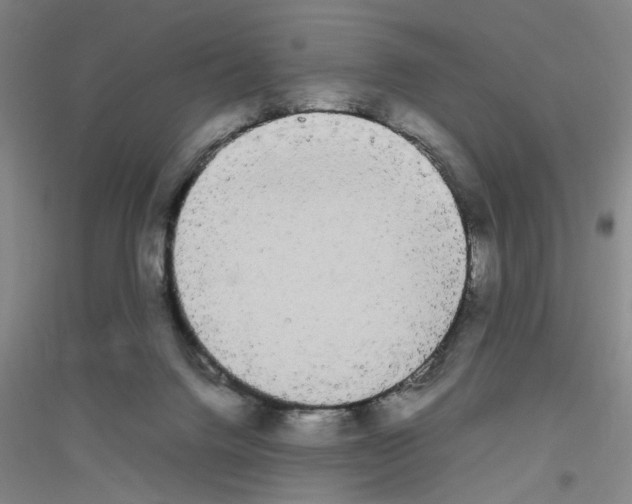 X0000116840072201001291713