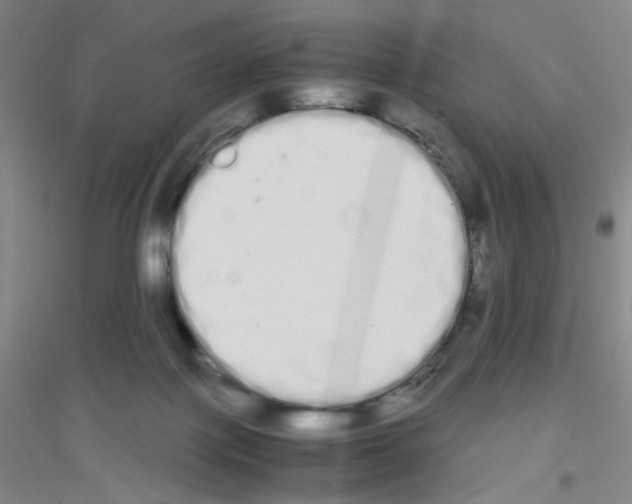 X0000116840075201001291713