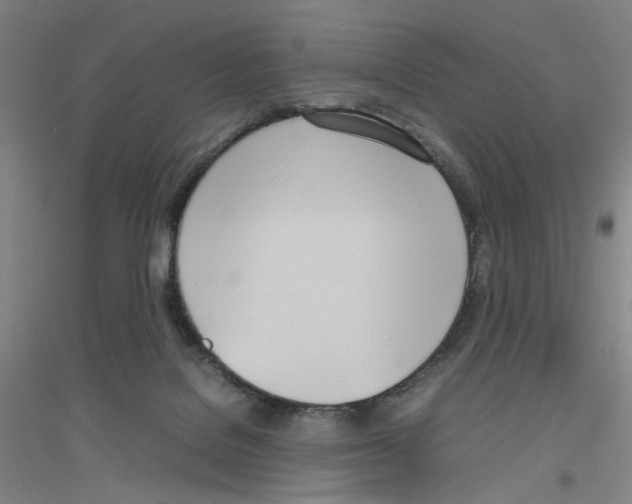 X0000116840076201001291713