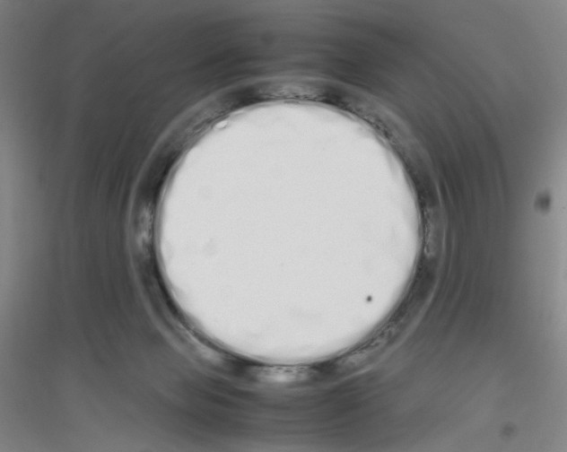 X0000116840077201001291713