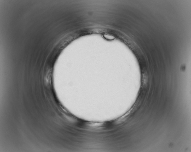 X0000116840078201001291713