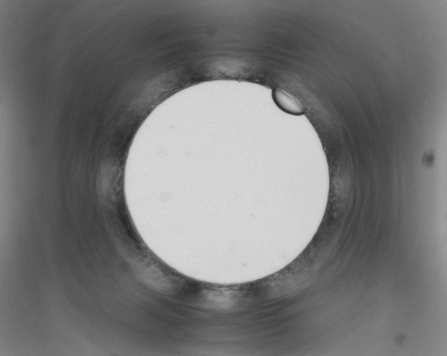 X0000116840079201001291713