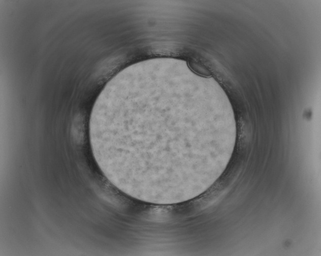 X0000116840080201001291713